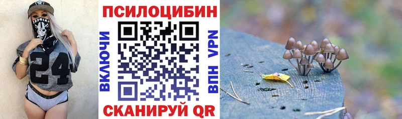 Псилоцибиновые грибы Cubensis  Кизел 